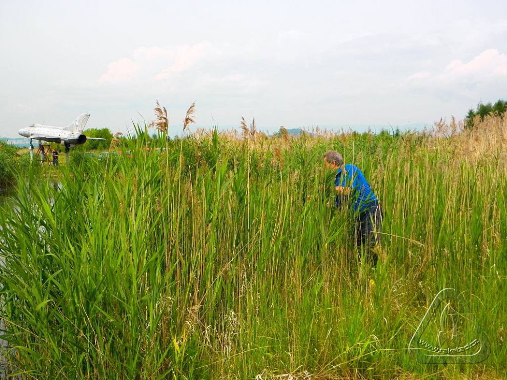 2014 Zachrany raket Jana Míckova